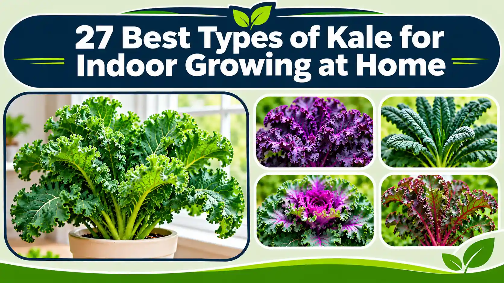 27 Best Types of Kale for Indoor Growing at Home