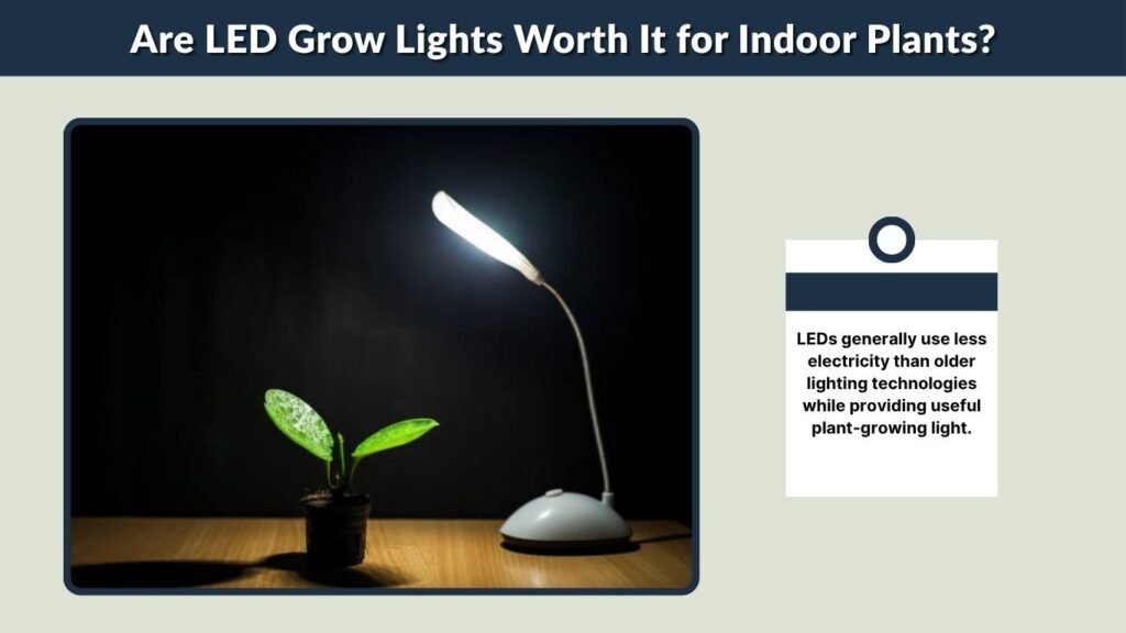 Are LED Grow Lights Worth It for Indoor Plants?